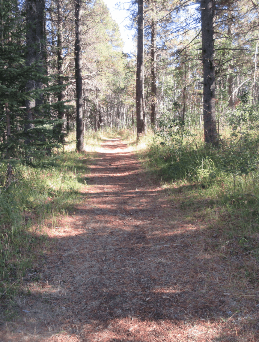 PINE HILL CAMPGROUND — image 4