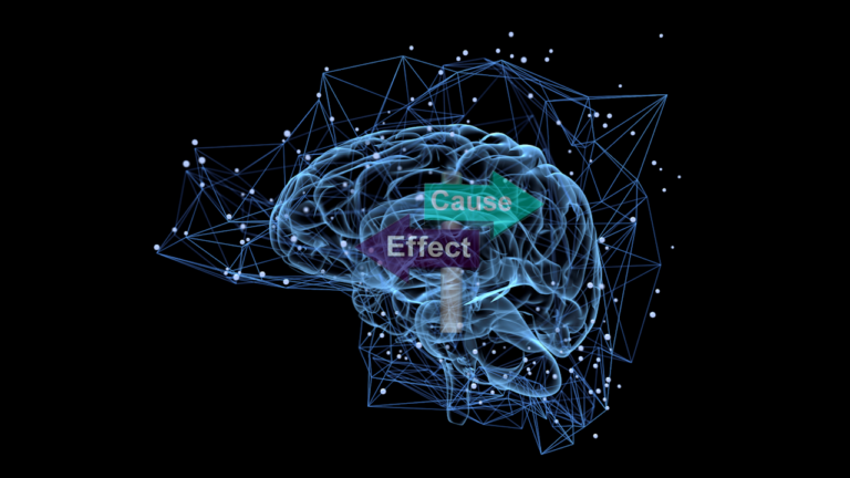 The Importance of Causality in Corporate Decision-making