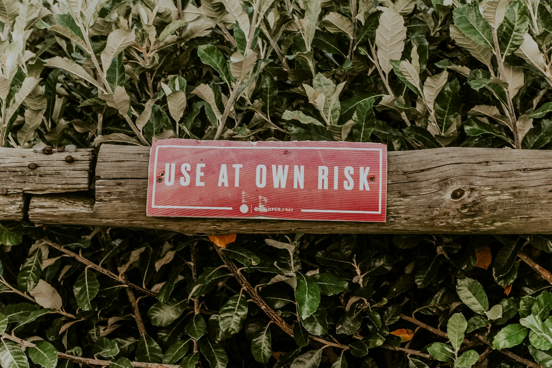 Businesses Must Take and Avoid Risks