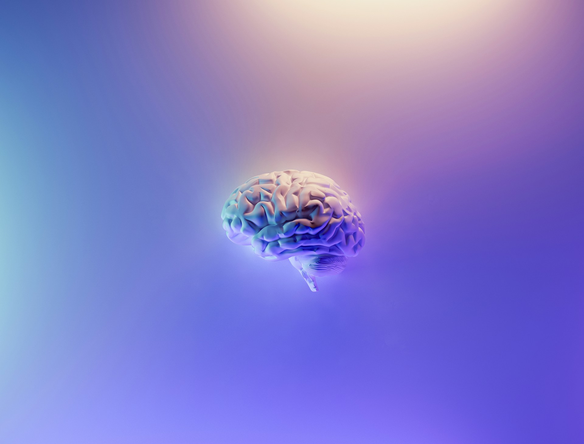 Making AI Work