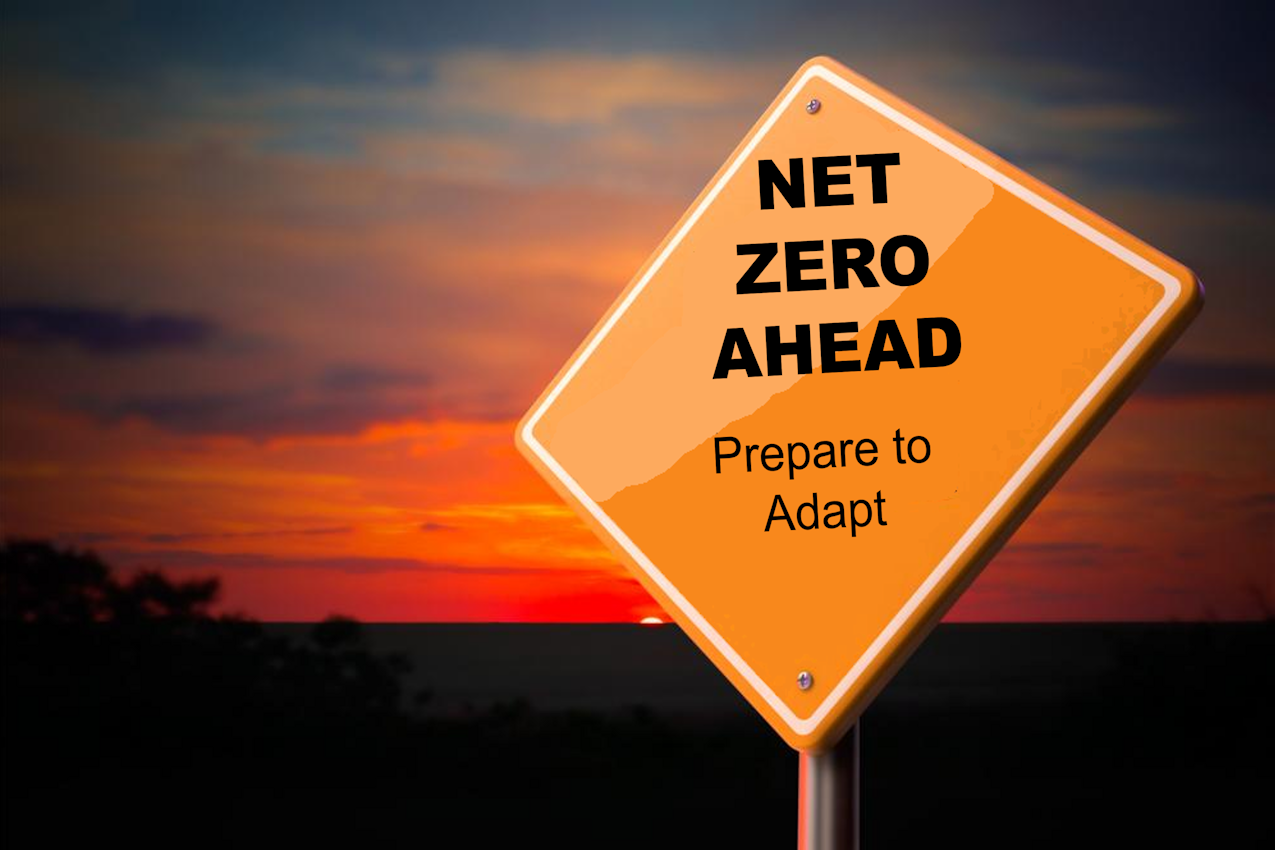 Moving Ahead with Net Zero Goals and Climate Adaptation