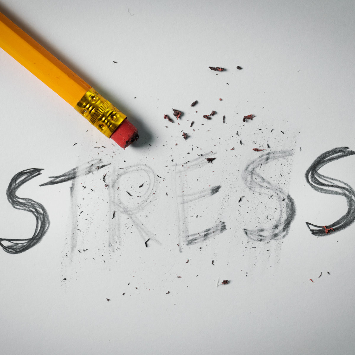 stress-management-training