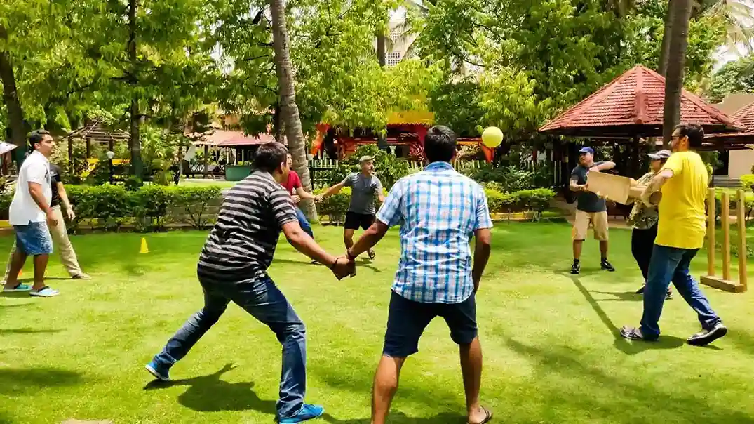 Jumbo Cricket