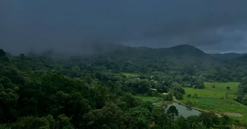 Corporate team outings in Coorg