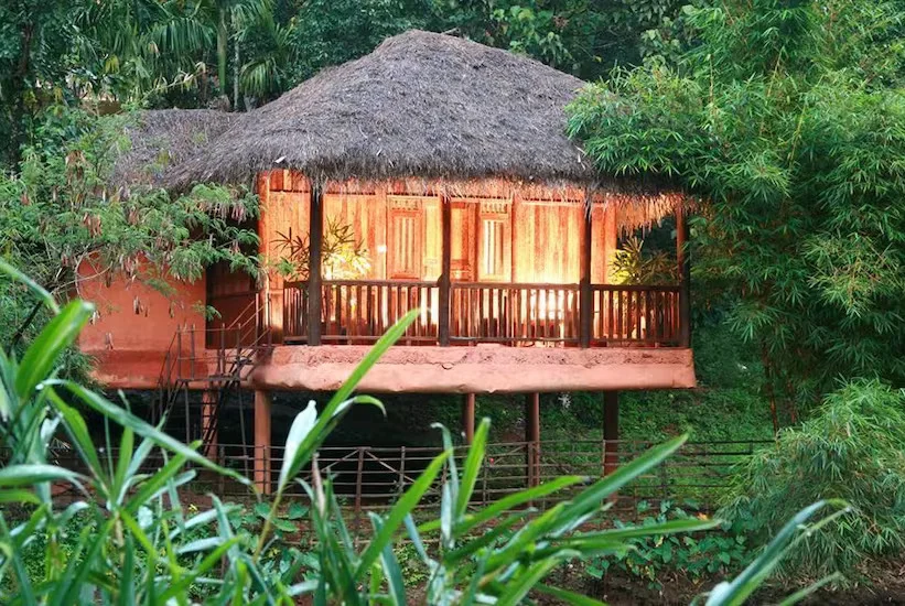 Team outing at Banasura Hill Resort, Wayanad