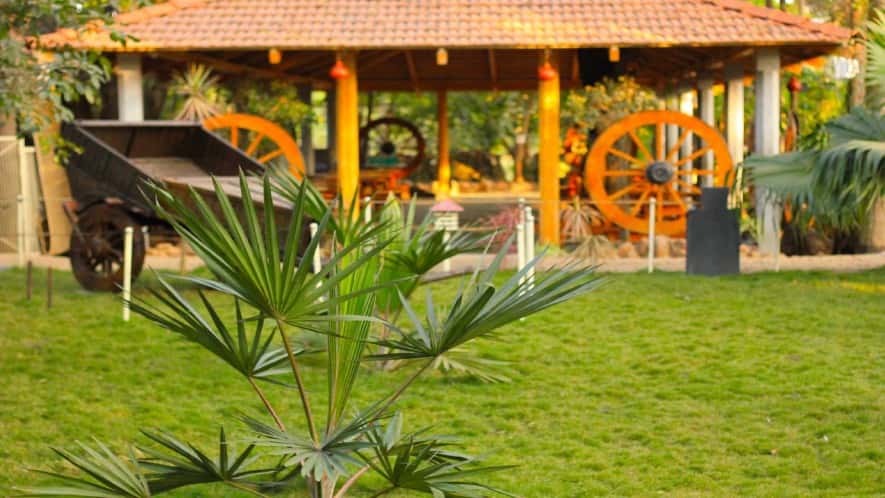 Team Outing at Mango Mist Resorts, Bangalore