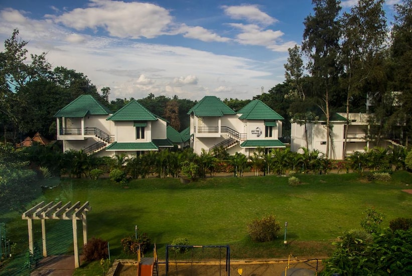 Young Island Mysore