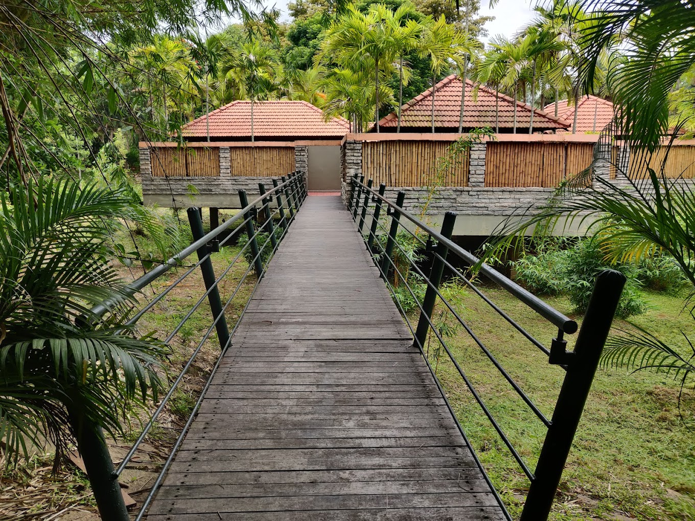 Gallery image 4