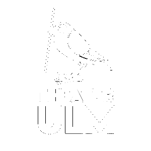 Theater Ulm