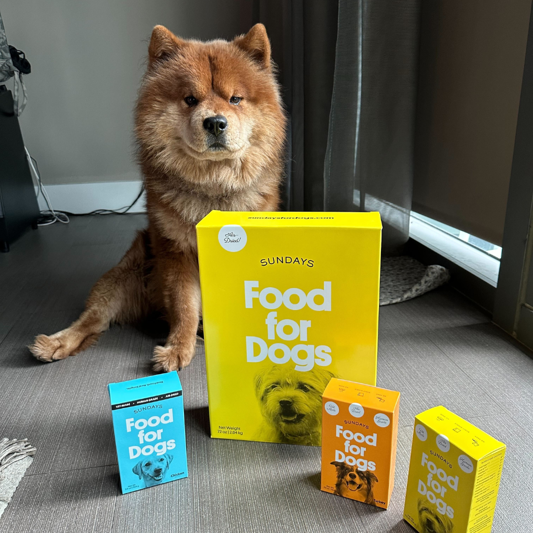 Simba and Sundays for Dogs Dog Food