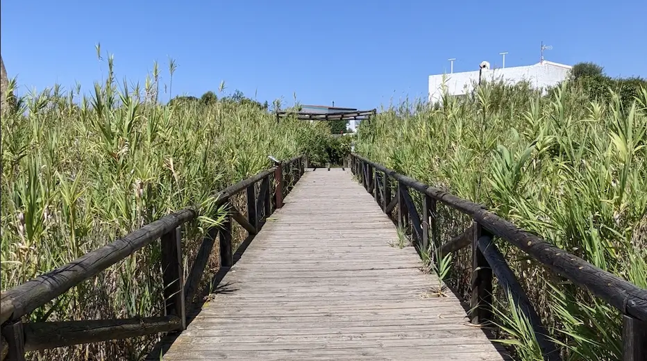 It's one of the places I like the most. The path towards the Chiringuito El Refugio, in Zahara de los Atunes