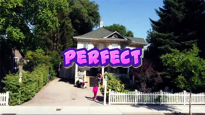 'Perfect' video wins big
