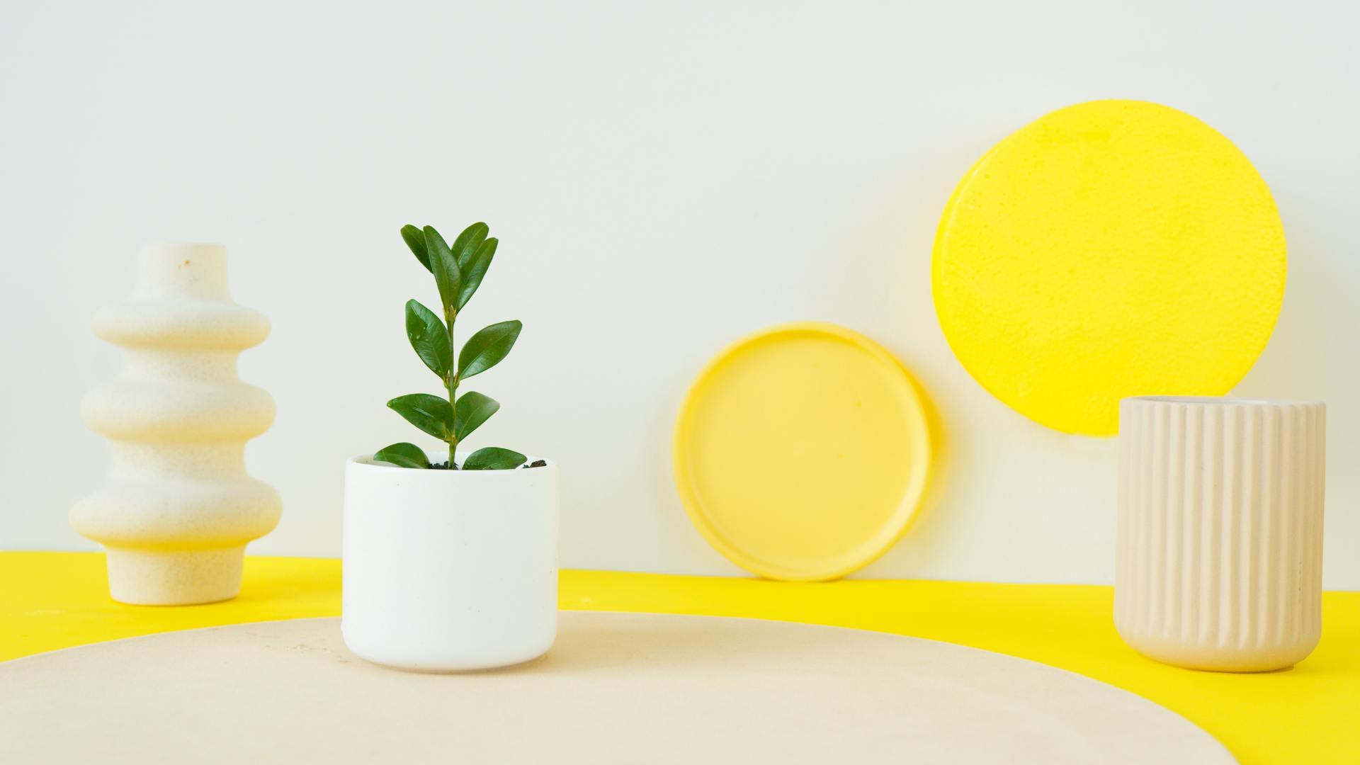 From Classroom to Screen: Maximizing Engagement in Online Learning