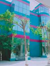 NIMT Institute of Technology and Management, Ghaziabad - Image 2