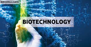 An Inside Look at Biotechnology