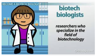 What do biotechnologists do
