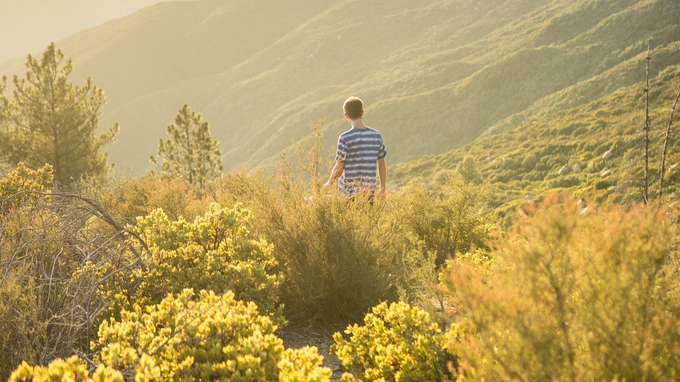 Education in the outdoors