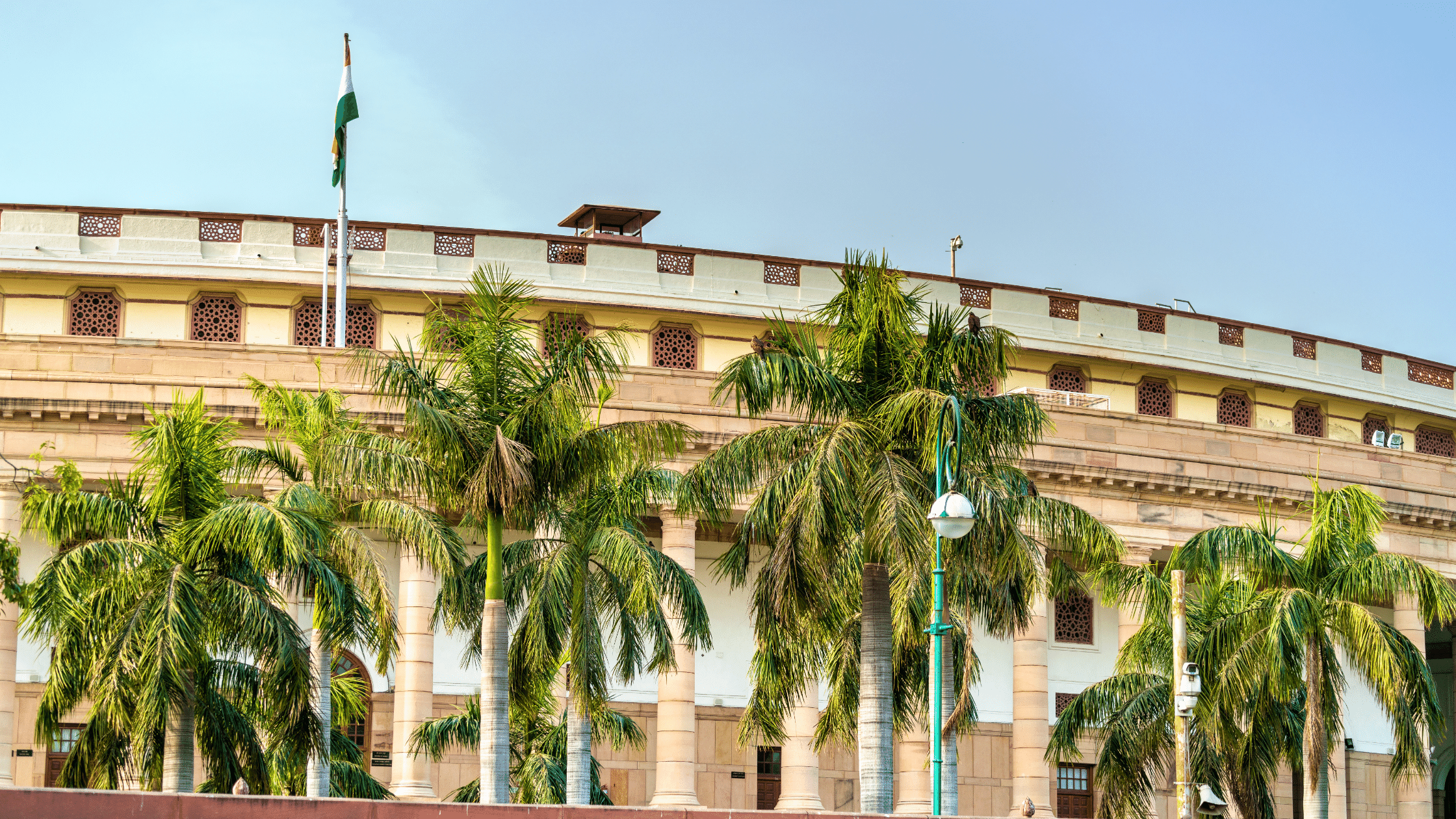 WHY IS POLITICS TRANSDISCIPLINARY?