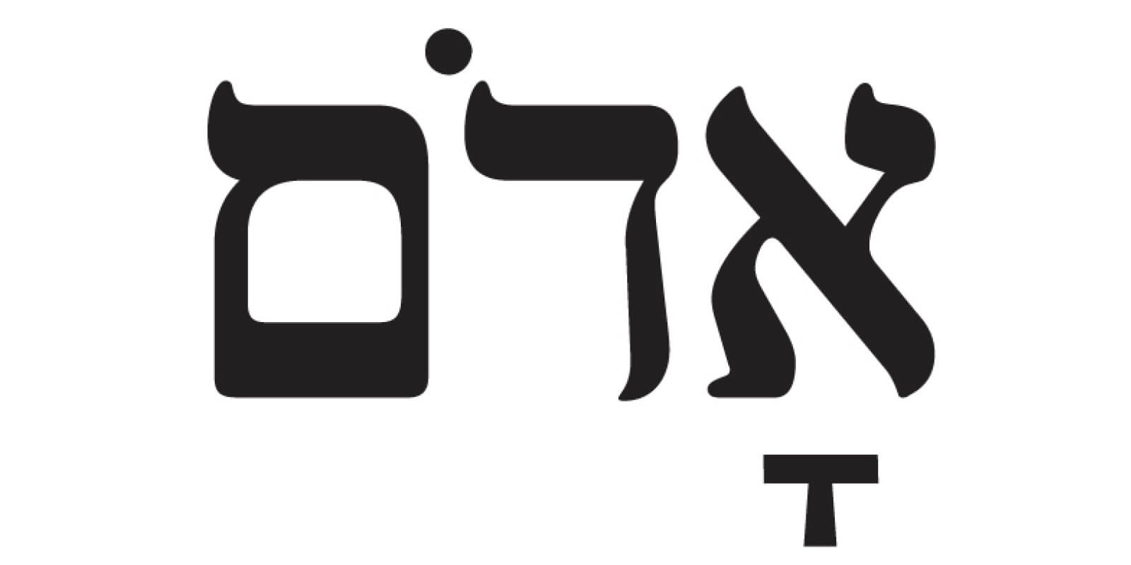 השבוע של המחאה, עסקת החטופים, מענקי חברות הביטוח והנמל בעזה | מוסף כלכליסט