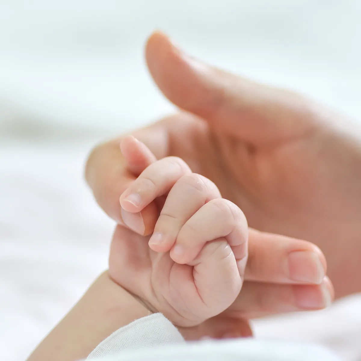 Babyprofi-Geschenkgutschein