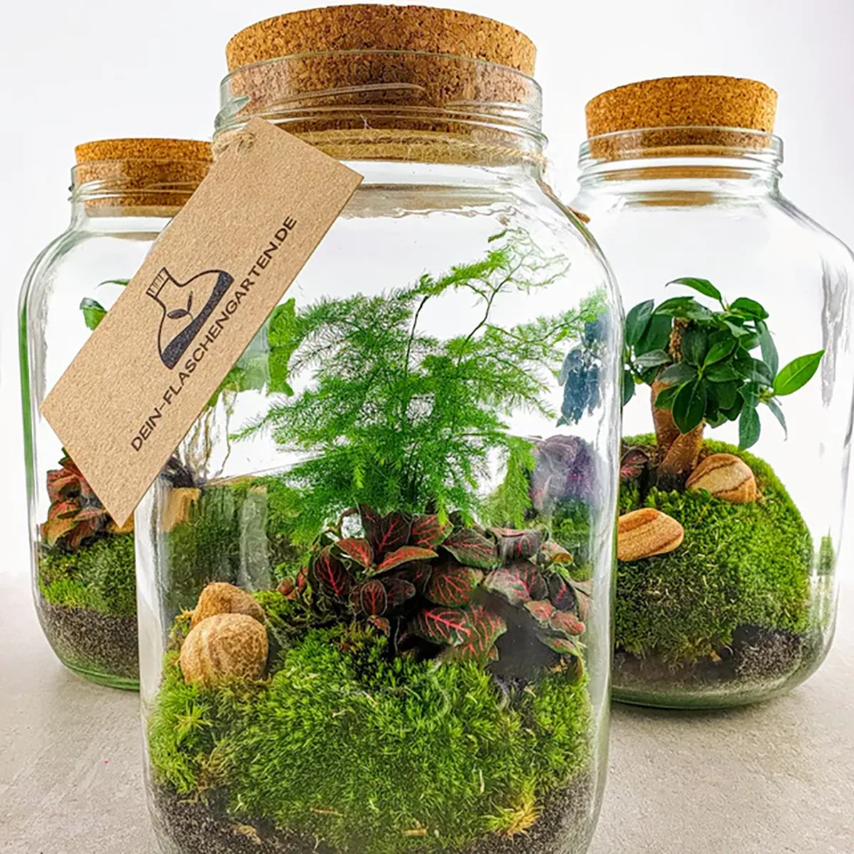 Dein Flaschengarten-Geschenkgutschein