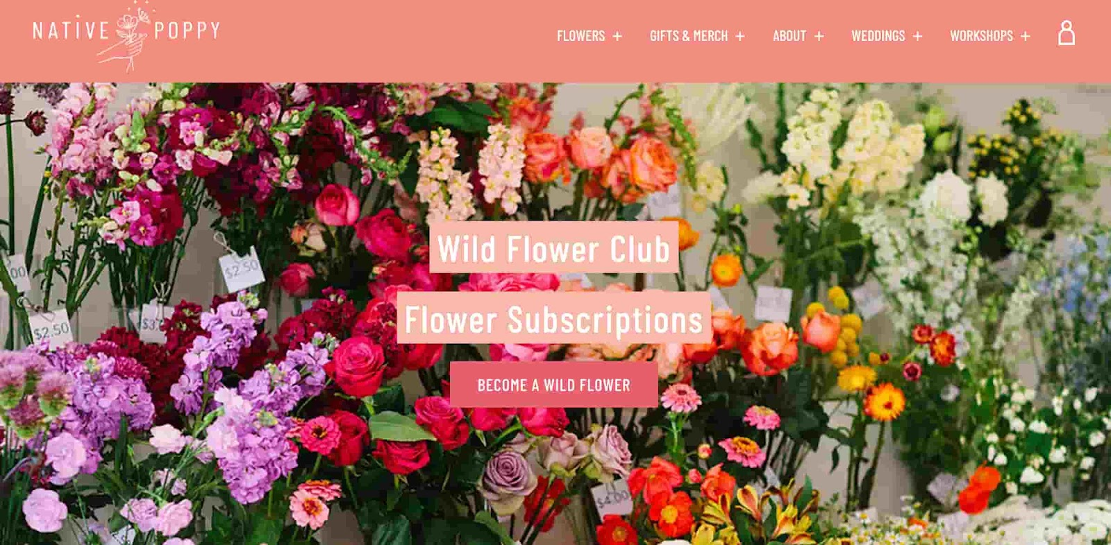 Native Poppy’s landing page.