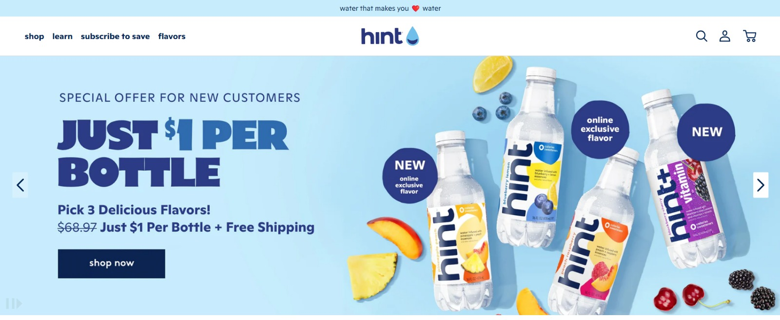 Hint’s landing page.