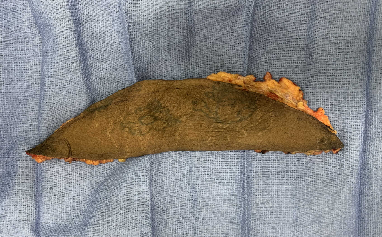 __wf_reserved_inherit