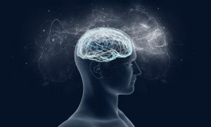 Brain Health And Iron Levels – A Delicate Balance