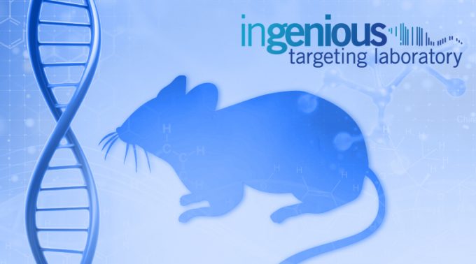 ingenious Scientist Introduction: Kristen Coughlin