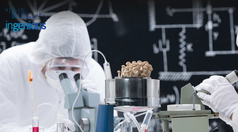 Mouse Cell Line by INGENIOUS