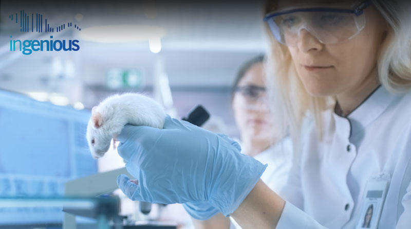 Knockdown Mice by INGENIOUS