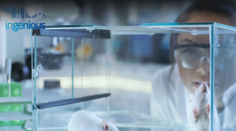 Knockout Mice Purpose by INGENIOUS