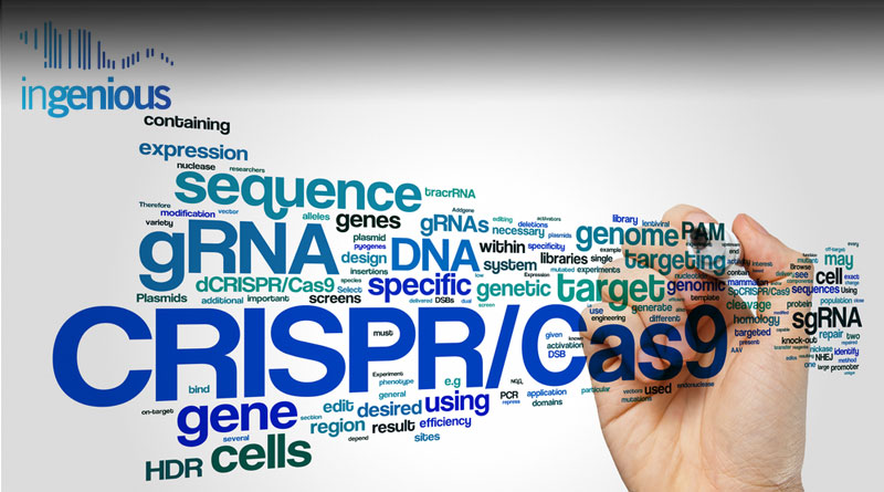 Crispr Cas9 by INGENIOUS