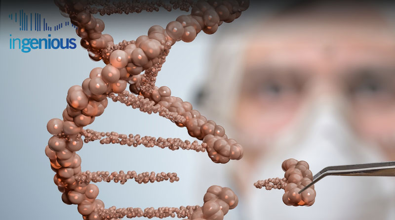 Crispr Gene Knockout by INGENIOUS