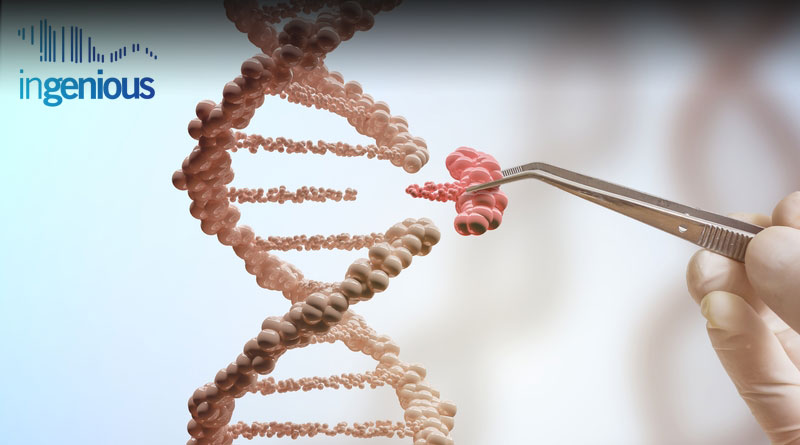 Crispr Gene Targeting by INGENIOUS