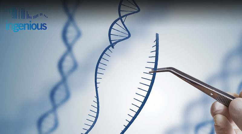 Crispr Knockdown by INGENIOUS