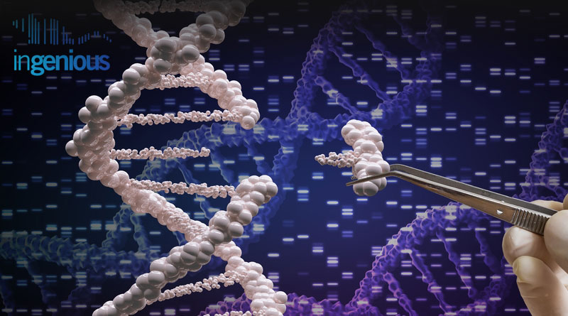 Crispr Knockout by INGENIOUS