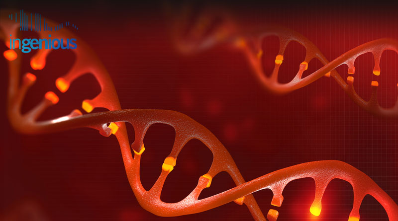 Crispr Transgenic Mice by INGENIOUS