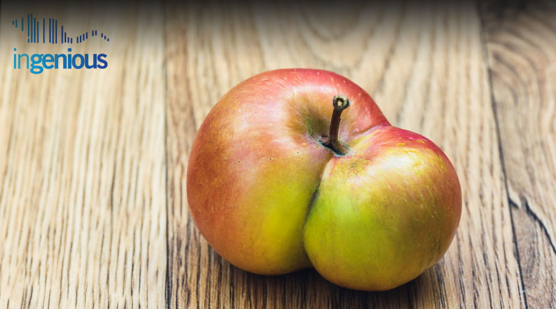 Types Of Point Mutations