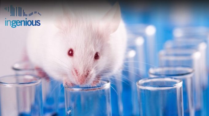 Cre Recombinase for creating floxed mice