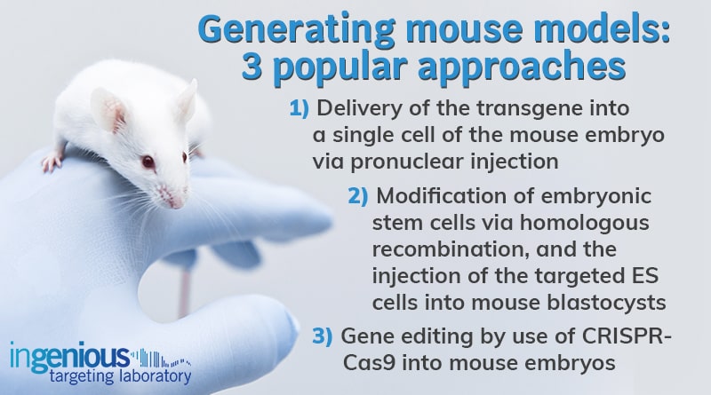 Generating Transgenic Mice: 3 Approaches