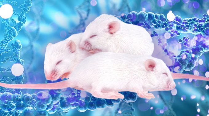 Top 5 Lab Mouse Colony Management Software Options for 2022