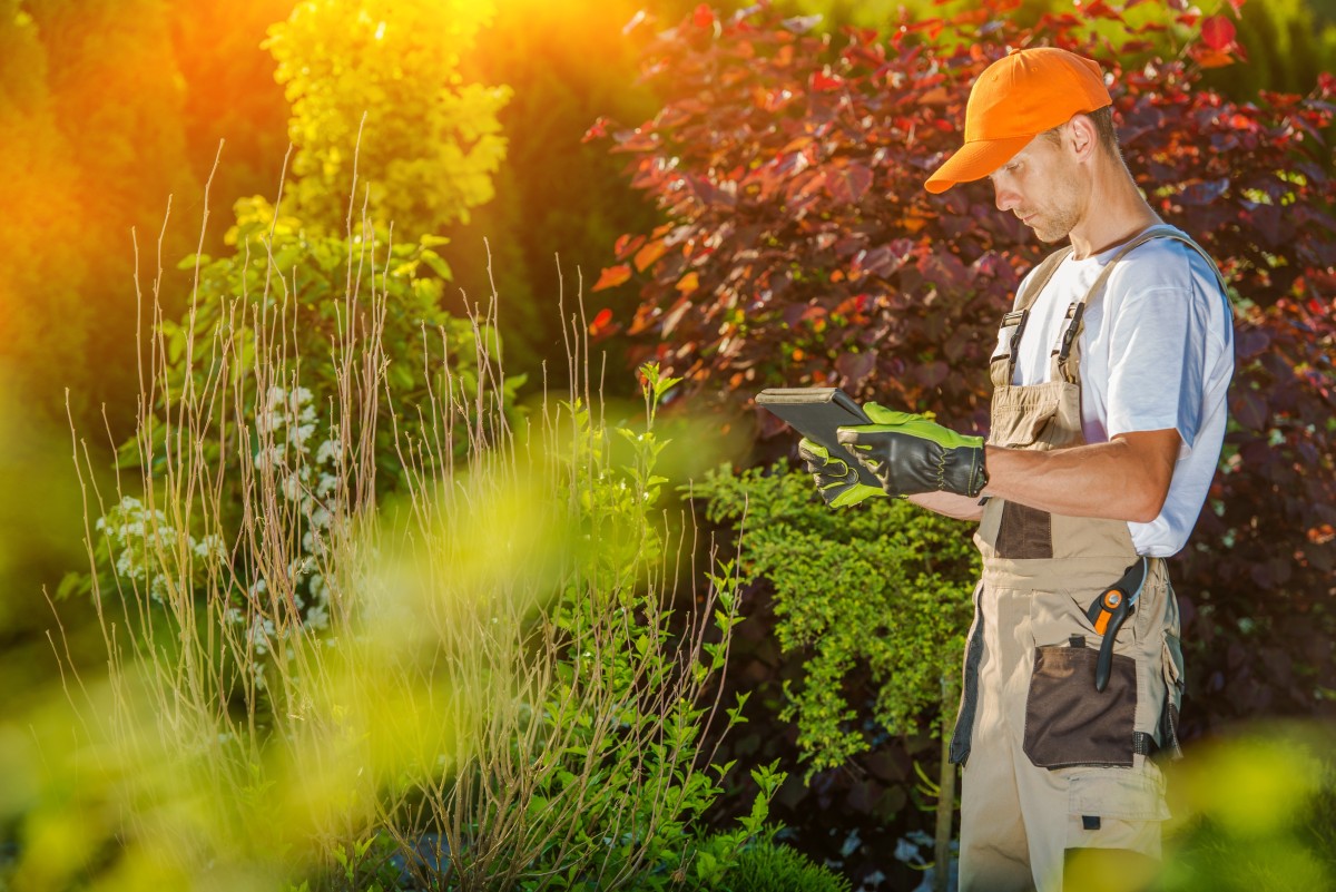 field service software