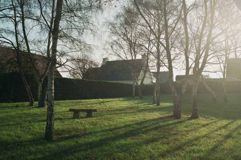 image 25