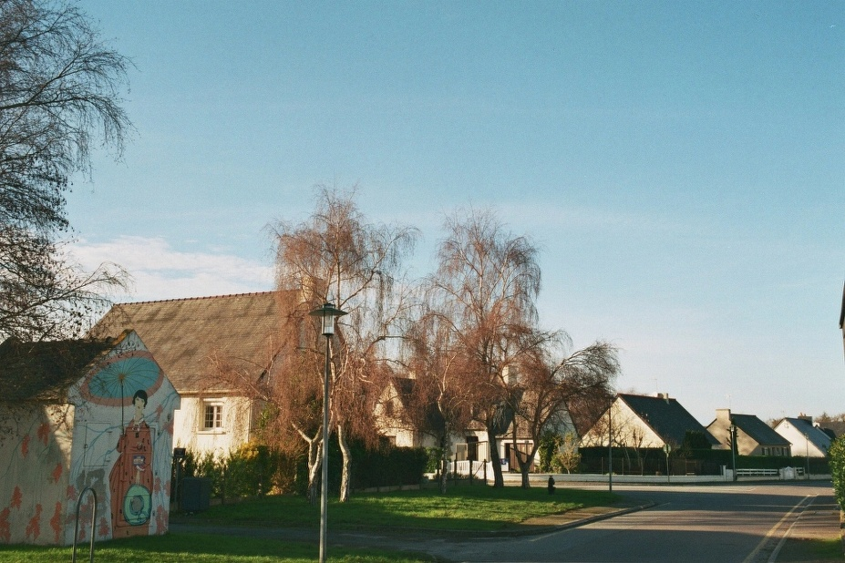 image 23