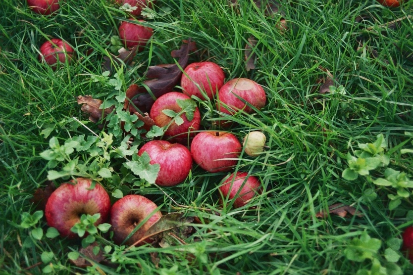image 14