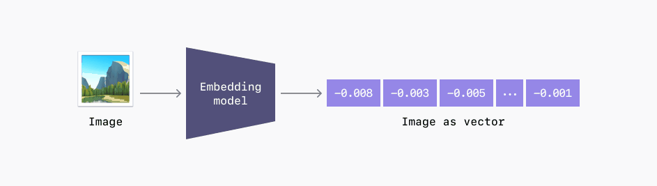 Shaped’s embedding models converts data types into vectors used to power search and ranking